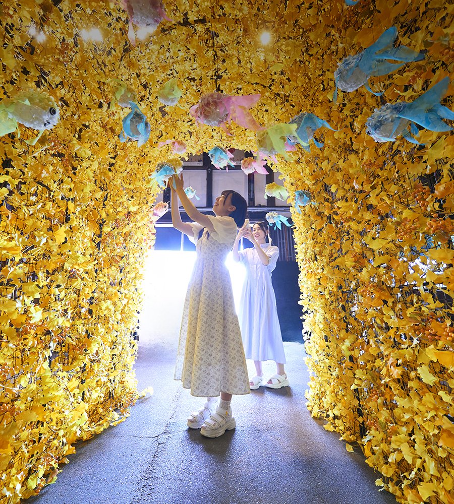 【Instagramフォロワー様限定】「シークレットミュージアム Yanai Yamaguchi」コラボキャンペーンのご案内